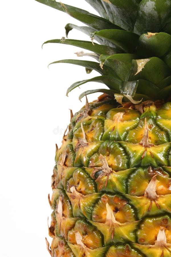 Pineapple stock image. Image of leaf, produce, estate 4228021