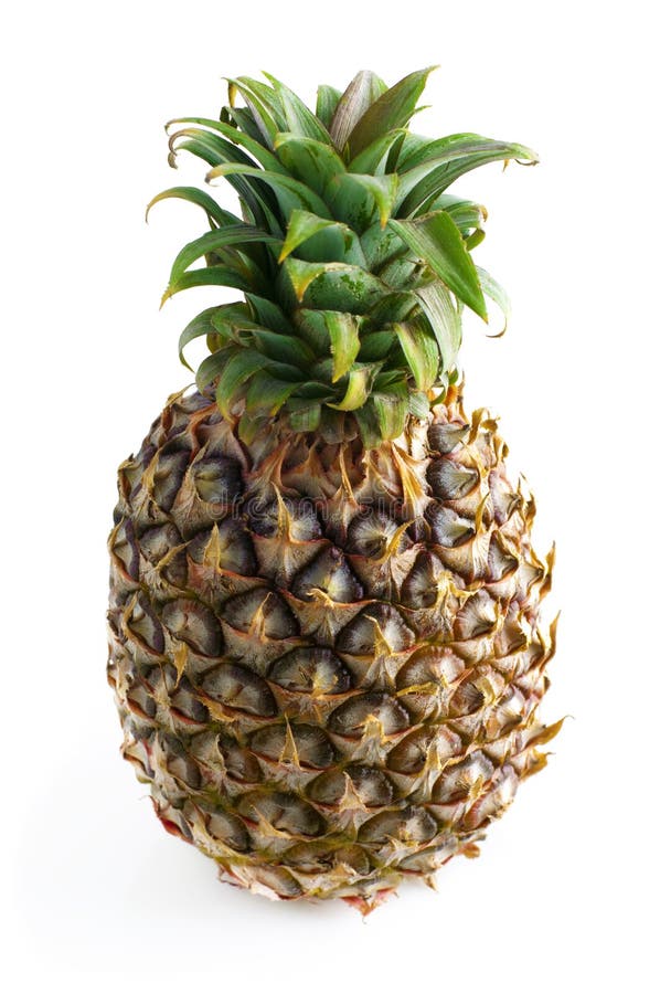 6+ One full pineapple Free Stock Photos StockFreeImages