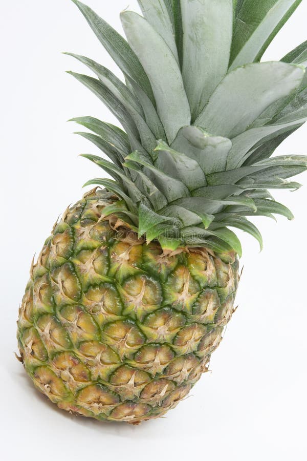 Pineapple Free Stock Photos & Pictures, Pineapple RoyaltyFree and