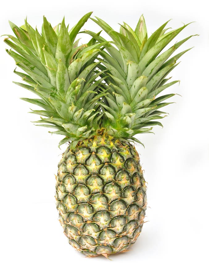 Pineapple stock photo. Image of stem, food, fruit, fresh 27264514