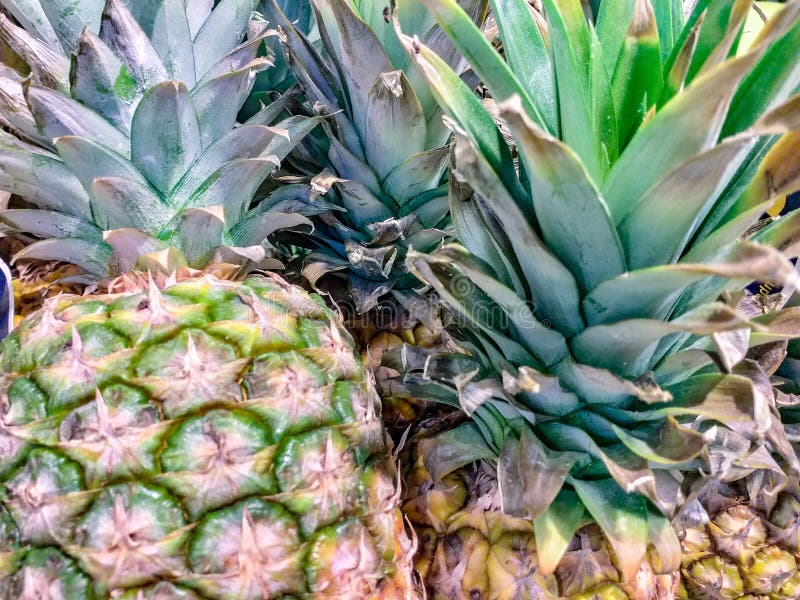 Pineapple is Also Used in Pharmacies. from the Plant the Active Ingredient Called Bromelain is