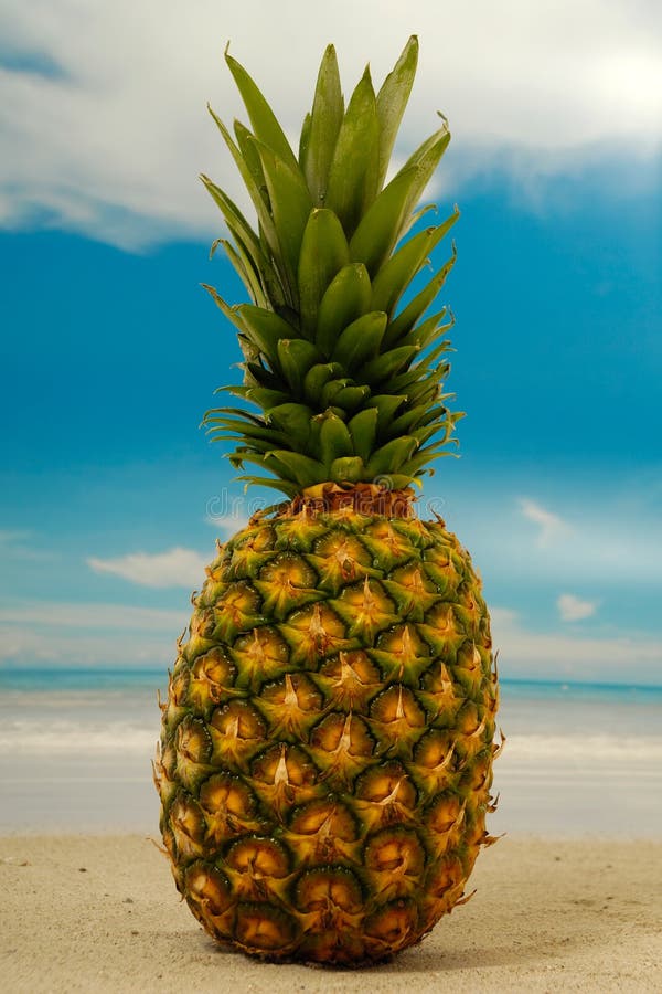 Pineapple on beach