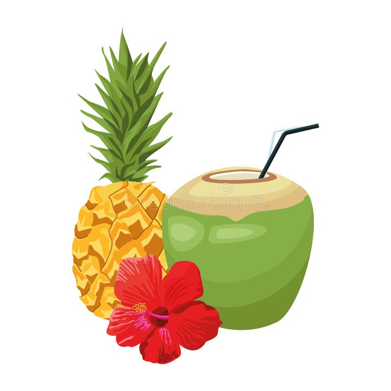 Sweet Pineapple Tropical Fruit Pictogram Stock Vector Illustration of