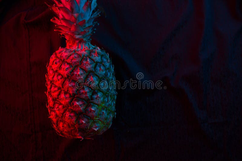 Pineapple in Dark Neon Color Stock Photo - Image of isolated, pastel ...