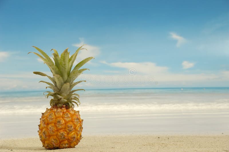 Pineapple on exotic beach