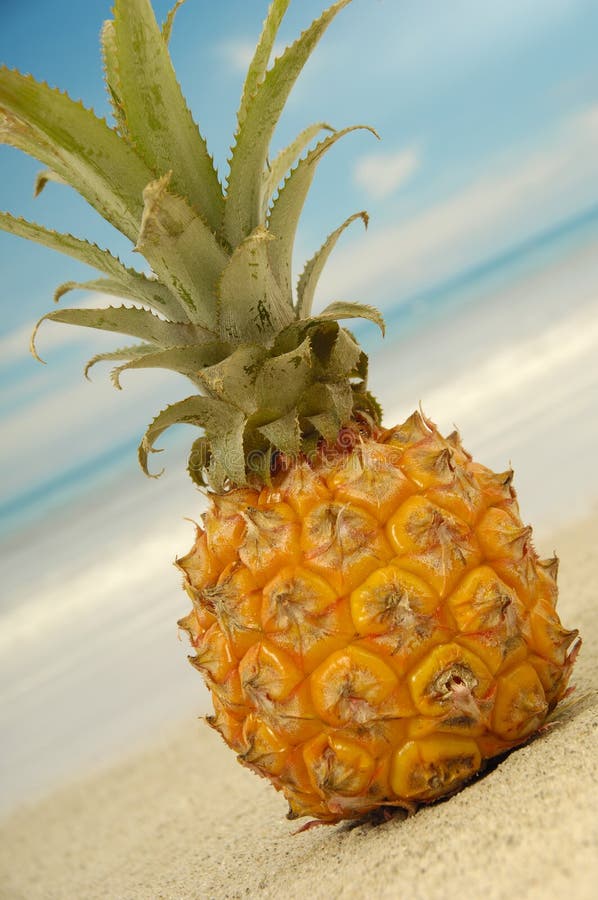 Pineapple and exotic beach