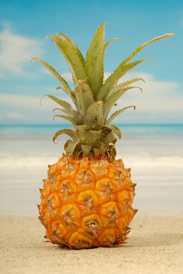 Pineapple and exotic beach