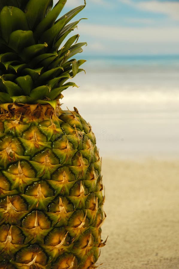 Pineapple on an exotic beach