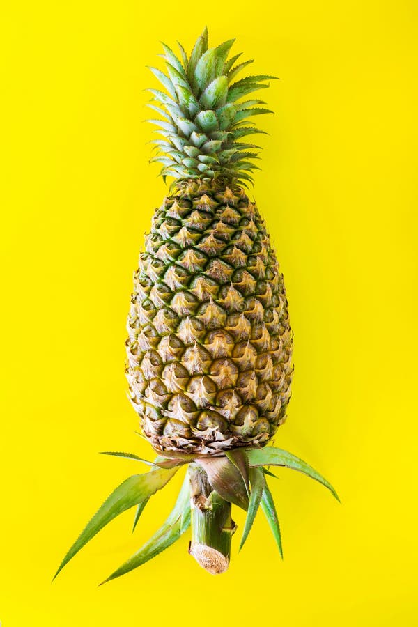 Pineapple, fresh fruit stock photo. Image of secluded 102672962