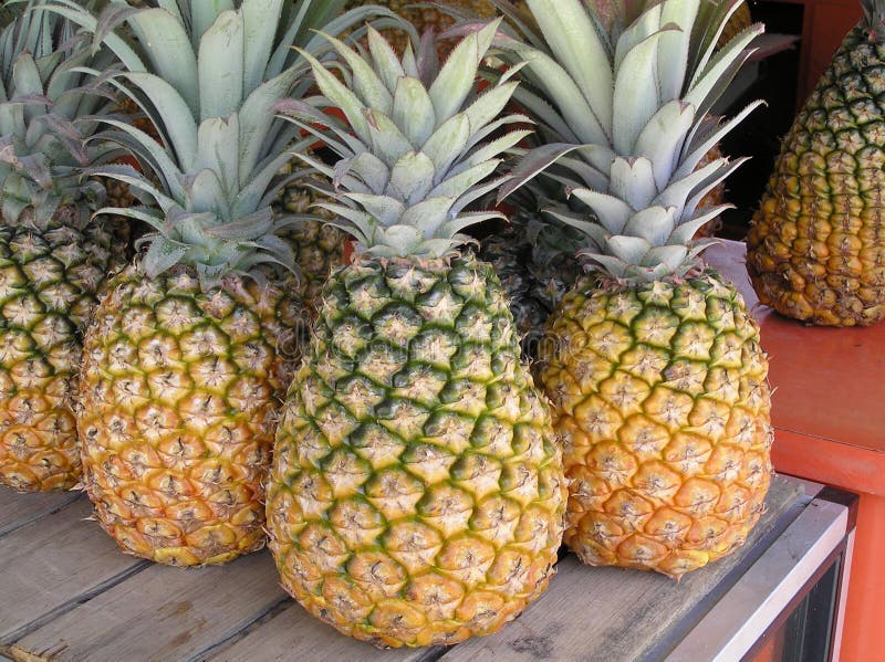 Pineapple, Fresh Fruit, Puerto Rico Stock Image Image of pineapple