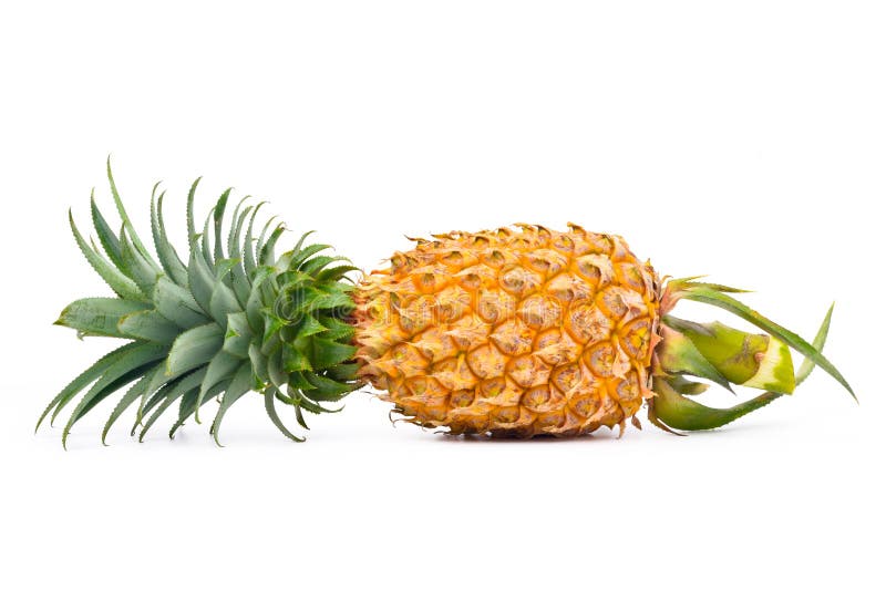 Pineapple Fruit with Stem Isolated on White Background Stock Image Image of beautiful, dessert