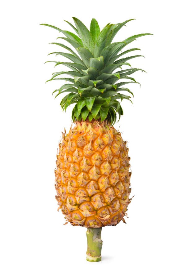 Pineapple Fruit with Stem Isolated on White Background Stock Photo Image of freshness, ananas