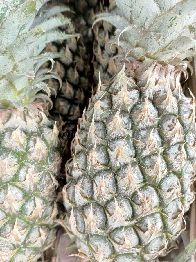 The Pineapple Fruit Tastes Sweet and Has a Lot of Vitamins Stock Image