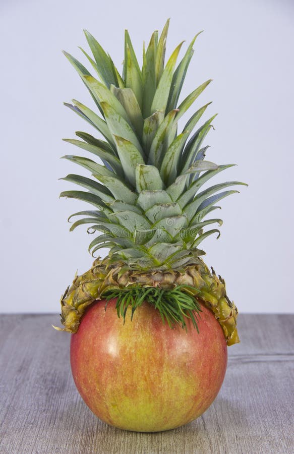 906 Pineapple Drawing Stock Photos Free & RoyaltyFree Stock Photos