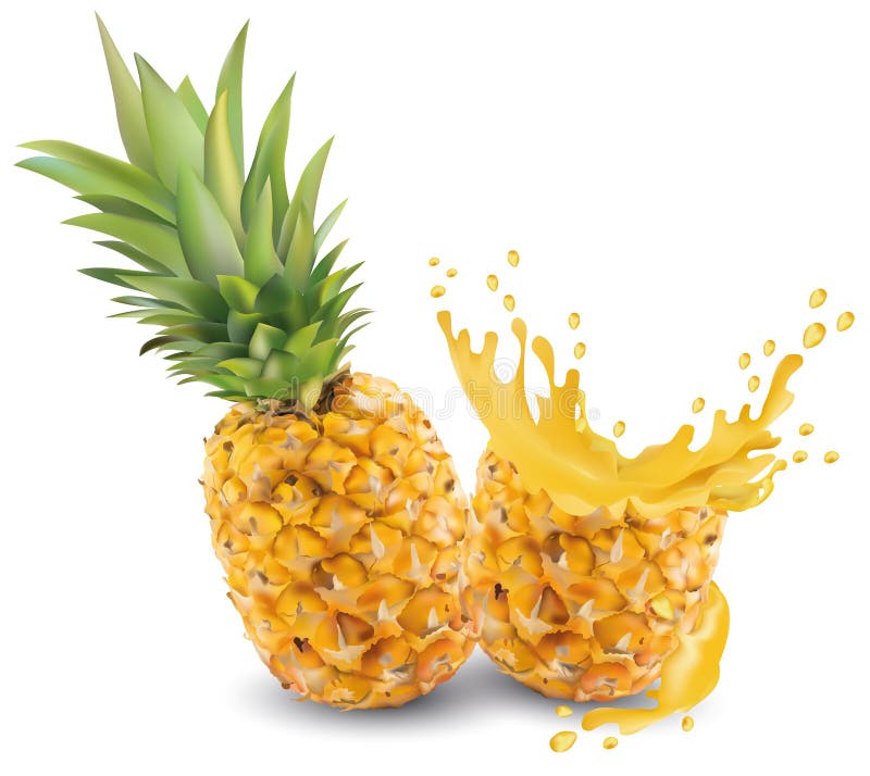 Fresh Pineapple On White Background. Stock Illustration Illustration