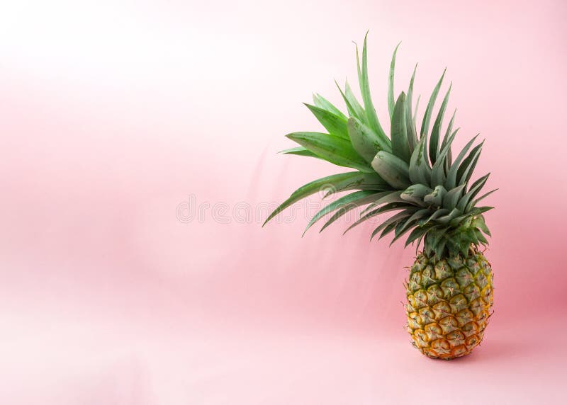 A Pineapple on Light Pink Background Stock Image Image of pink, retro