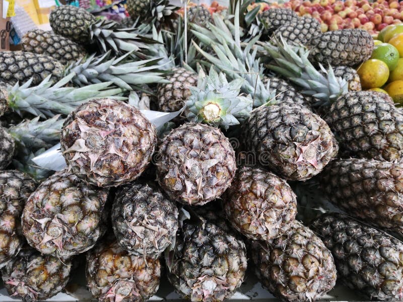 Pineapple for Sale in the Supermarket Stock Photo Image of organic