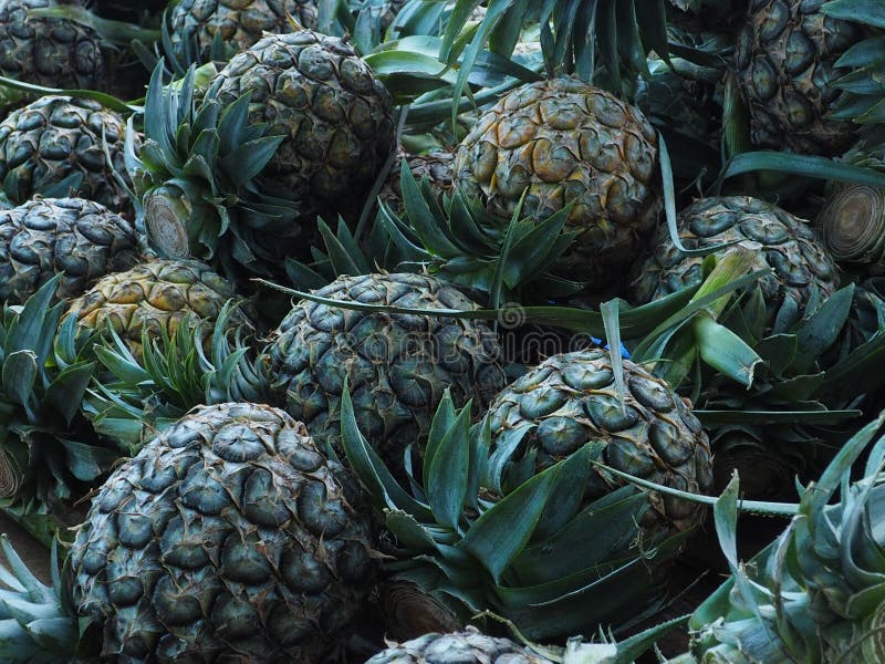 Pineapple Sell at Street Food. Stock Photo Image of market, fruit
