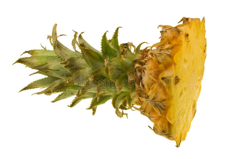 Pineapple Top Picture. Image 5049699