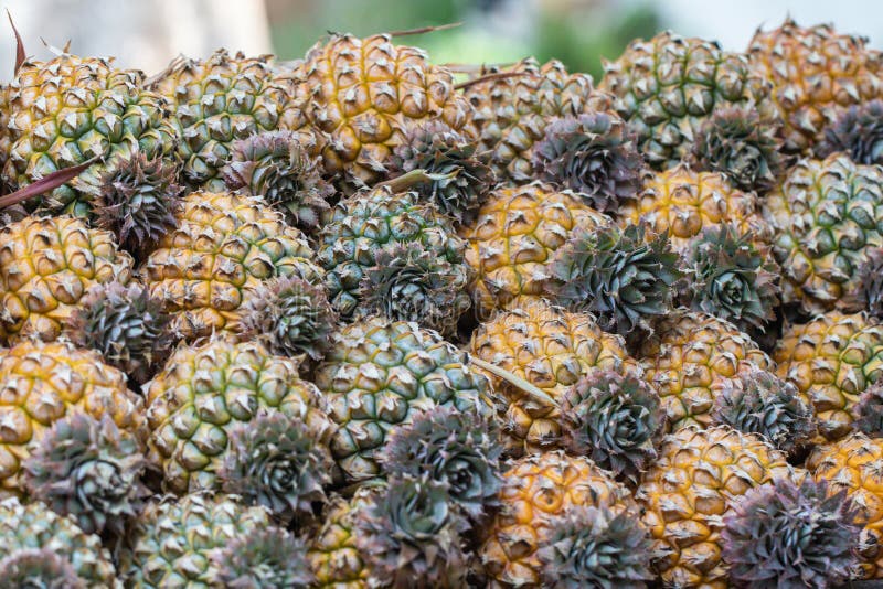 Pineapple in a Vegetable and Fruit Market.Selective Focus Row of