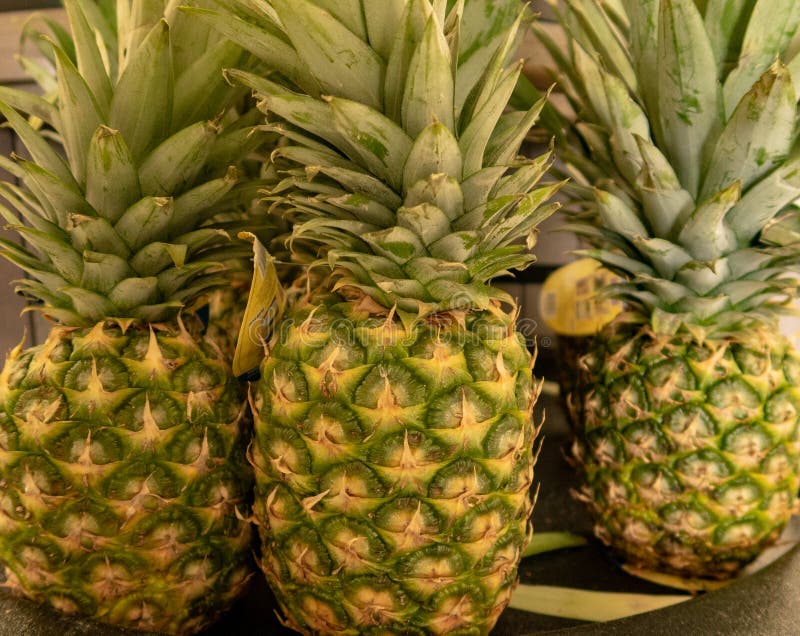 Pineapples at a Local Grocery Store Stock Photo Image of store, fresh