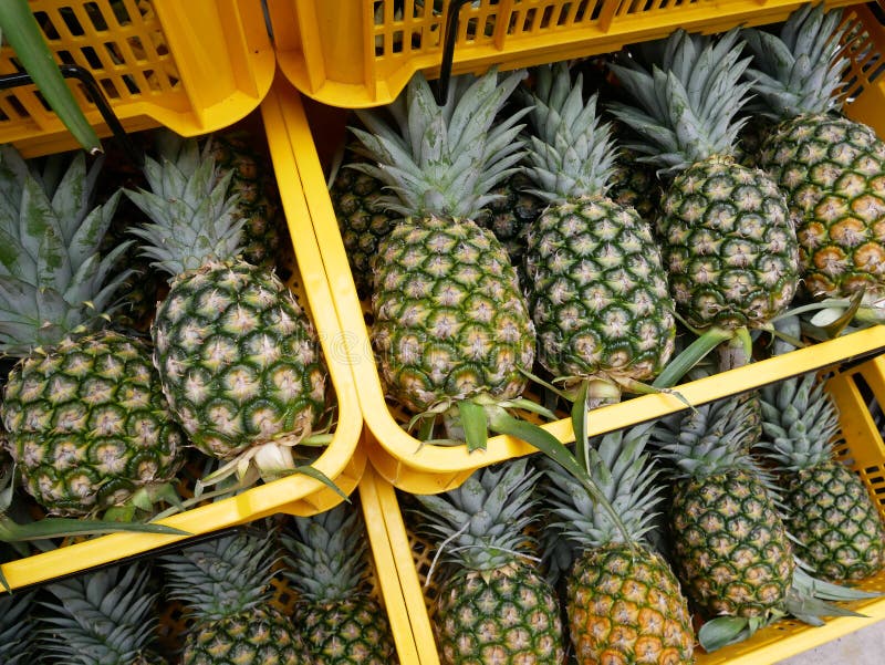 Pineapples that have been picked are displayed for sale.