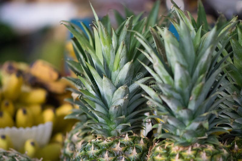 Pineapples in a Mexican Market Stock Image Image of cuisine, organic