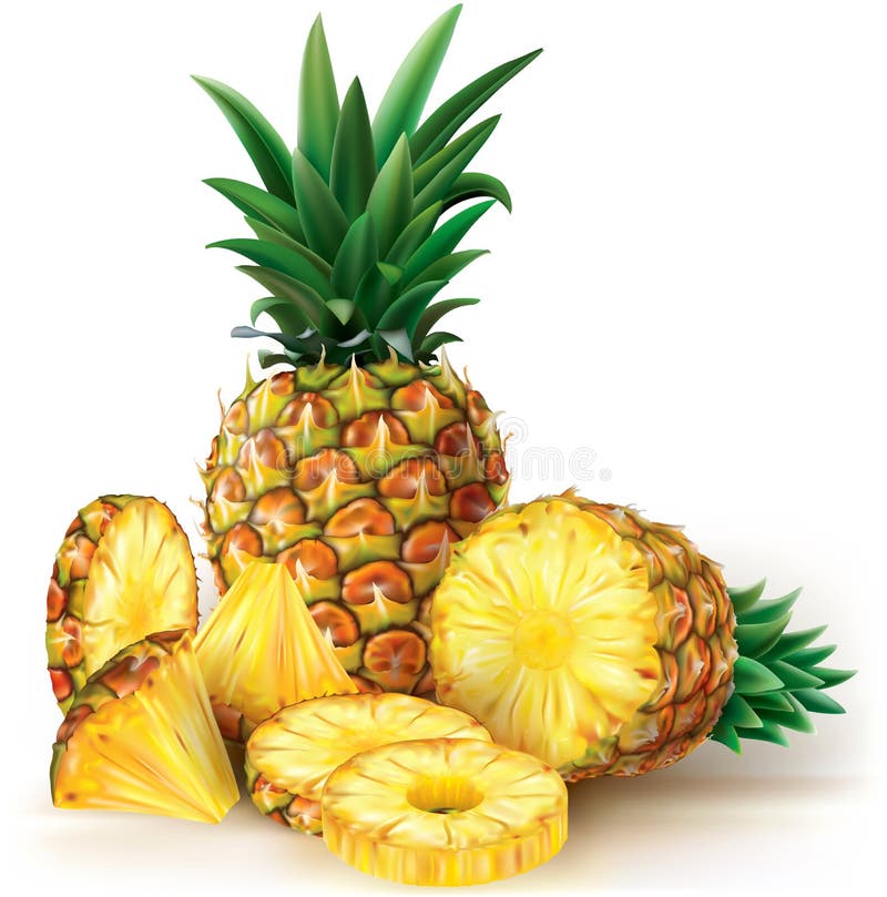 Pineapples with slices stock vector. Illustration of fruit 73291399