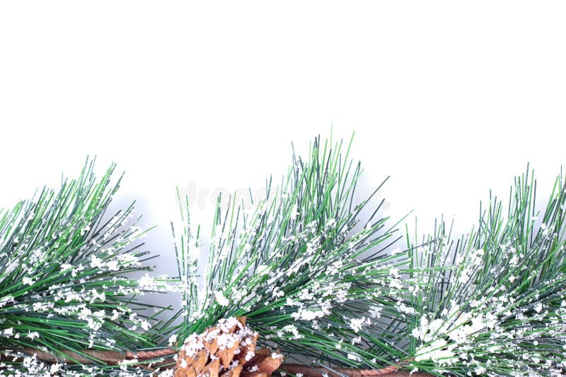 Pinecones innevato immagine stock libera da diritti Pinecones innevato immagine stock libera da diritti