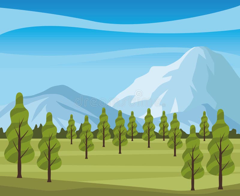 Pines in the camp landscape stock illustration