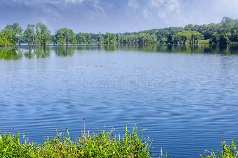 Piney Z Lake in Tallahassee, Florida