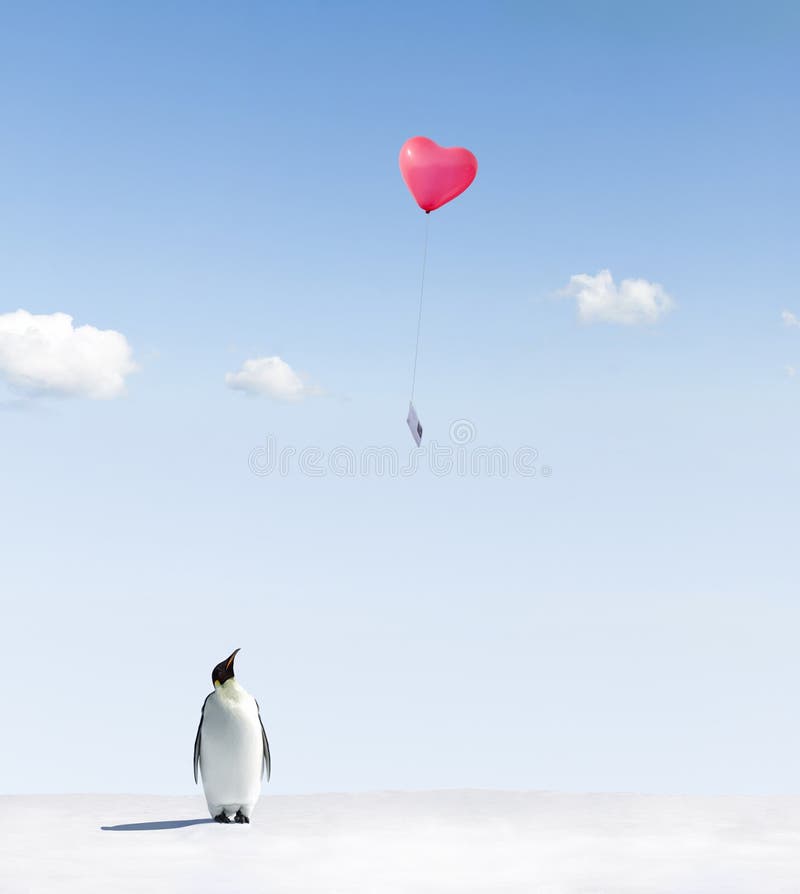 Emperor penguin on icy landscape watching love heart shaped balloon in blue sky with letter attached. Emperor penguin on icy landscape watching love heart shaped balloon in blue sky with letter attached.