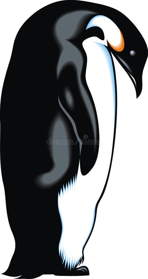 pingwin ilustracji pingwin ilustracji