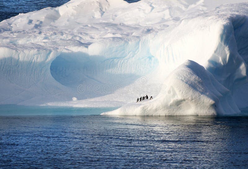 Pingwiny stoi na ogromnej górze lodowa Ogromna błękitna lodowa jama Antarctica krajobraz obrazy royalty free Pingwiny stoi na ogromnej górze lodowa Ogromna błękitna lodowa jama Antarctica krajobraz obrazy royalty free