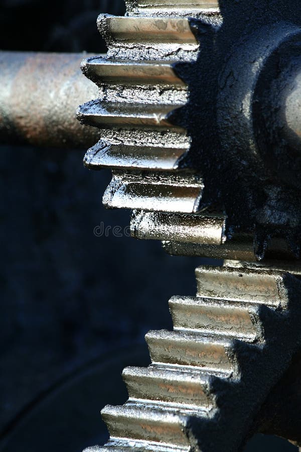 pinion obrazy stock pinion obrazy stock