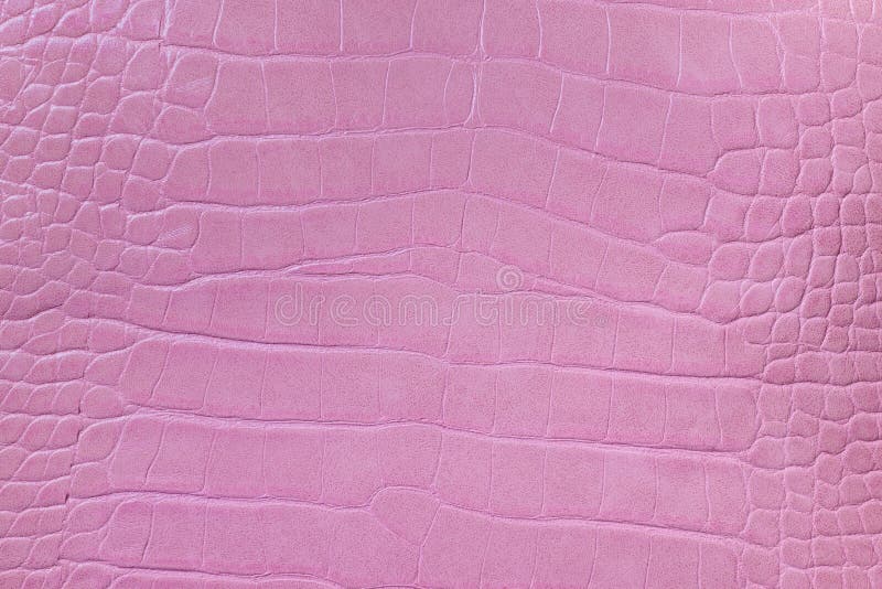 289 Pink Crocodile Leather Skin Background Stock Photos - Free &  Royalty-Free Stock Photos from Dreamstime