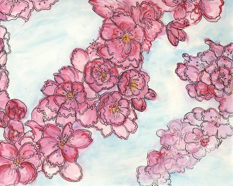 Pink apple blossom painting stock illustration