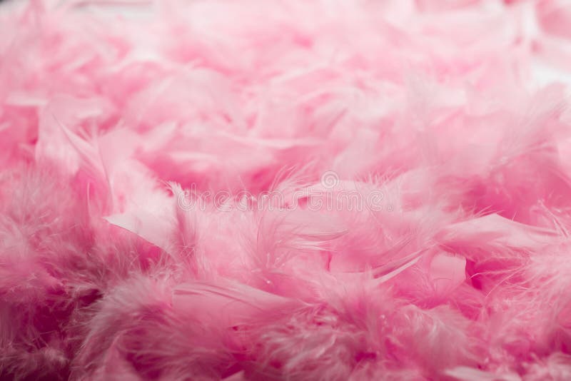 Pink Feather Boa
