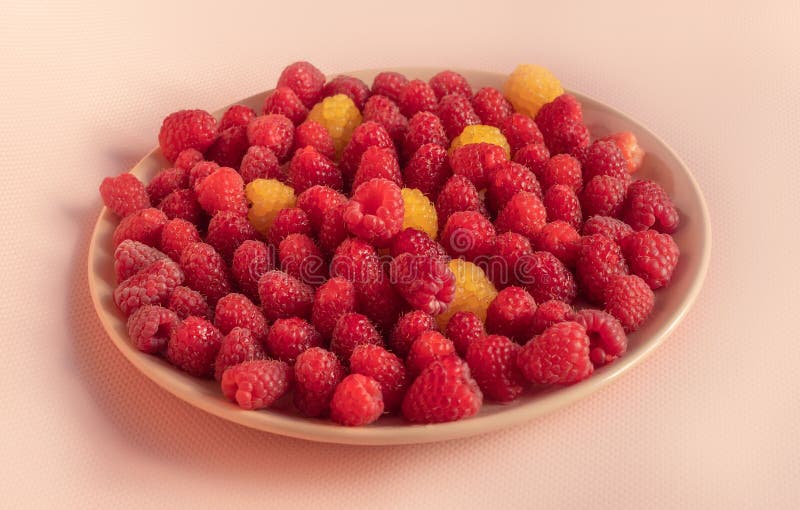 On a pink background, a dessert plate contains ripe red and yellow raspberries