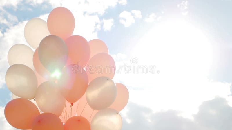 Pink balloons in a bundle