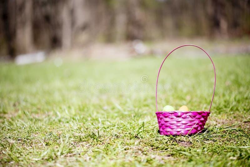 Pink Basket with Easter Eggs on a Grassy Lawn on a Sunny Day Stock