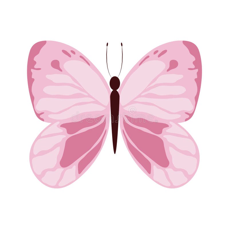 Pink Beautiful Butterfly Delicate Insect Isolated Icon White Background  Stock Vector - Illustration of butterfly, decorative: 195300556
