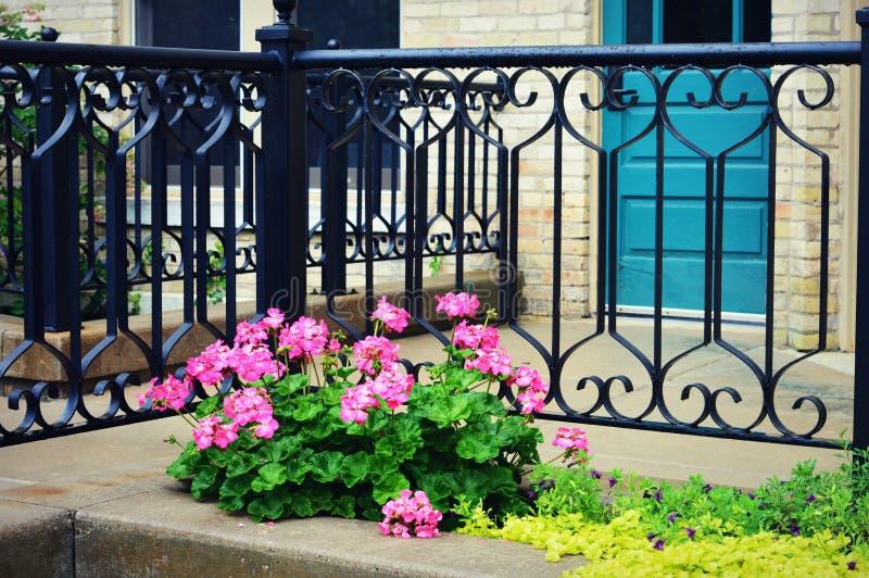 Pink Begonias, Iron Fence, Teal Door