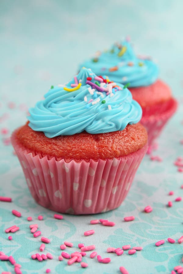 Pink And Blue Cupcake Stock Photo Image Of Bake Candy 30826436
