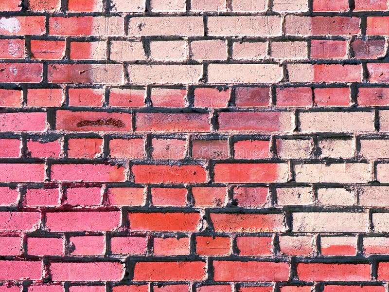 Pink Brick Wall Texture Background. Stock Image Image of cement