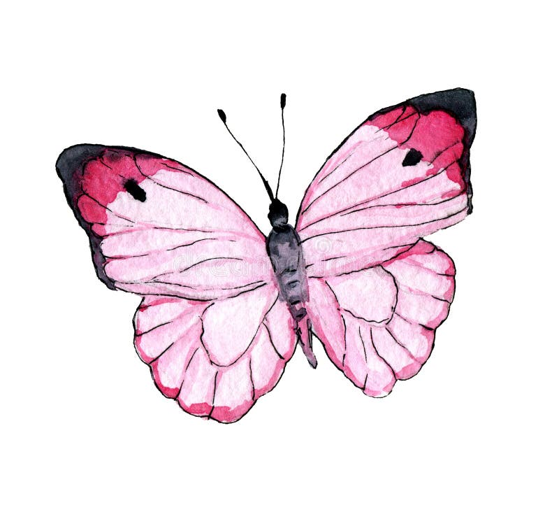 pink flying butterfly clipart