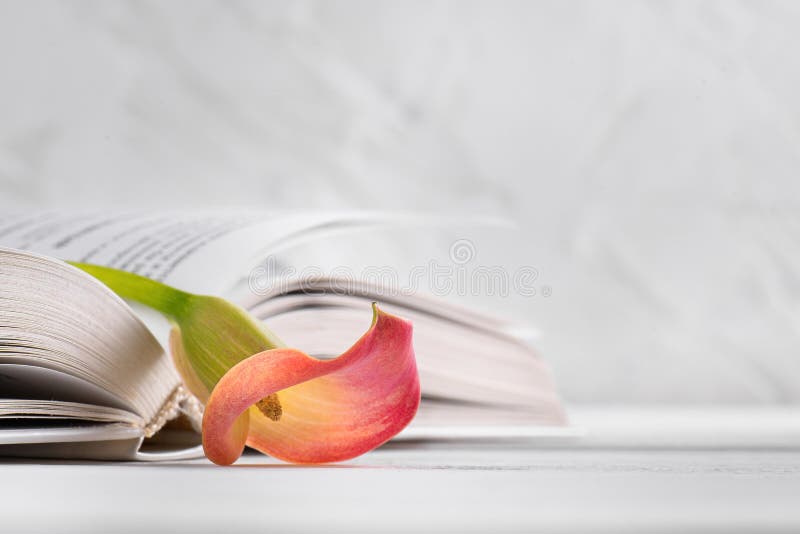 Open Empty Book With Lily Of The Valley Stock Photo - Download