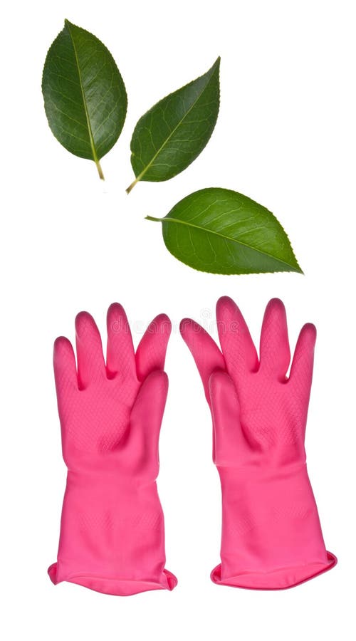 Pink Cleaning Gloves Reaching for Leaves Stock Photo Image of glove