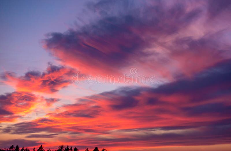 Pink clouds at a sunset stock photo. Image of background - 107164424