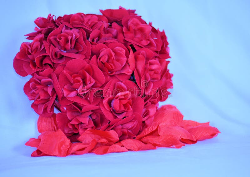 Pink Cluster of Roses stock photo. Image of colourful 49974420